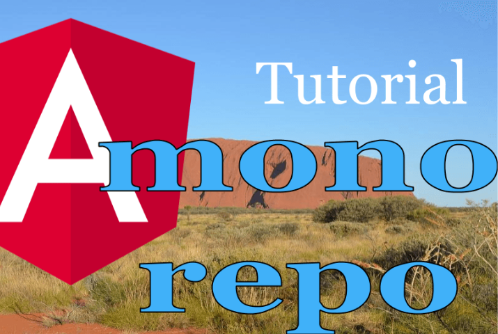 Nx, mono repositories in Angular